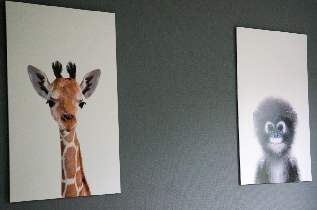 Jungle Babykamer: Dieren prints | Babies Kitchen