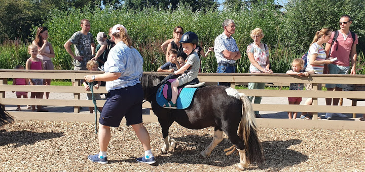 Pony Reiden Avonturenboerderij Molenwaard | Babies Kitchen