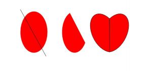 Tomaten Hartjes Uitleg