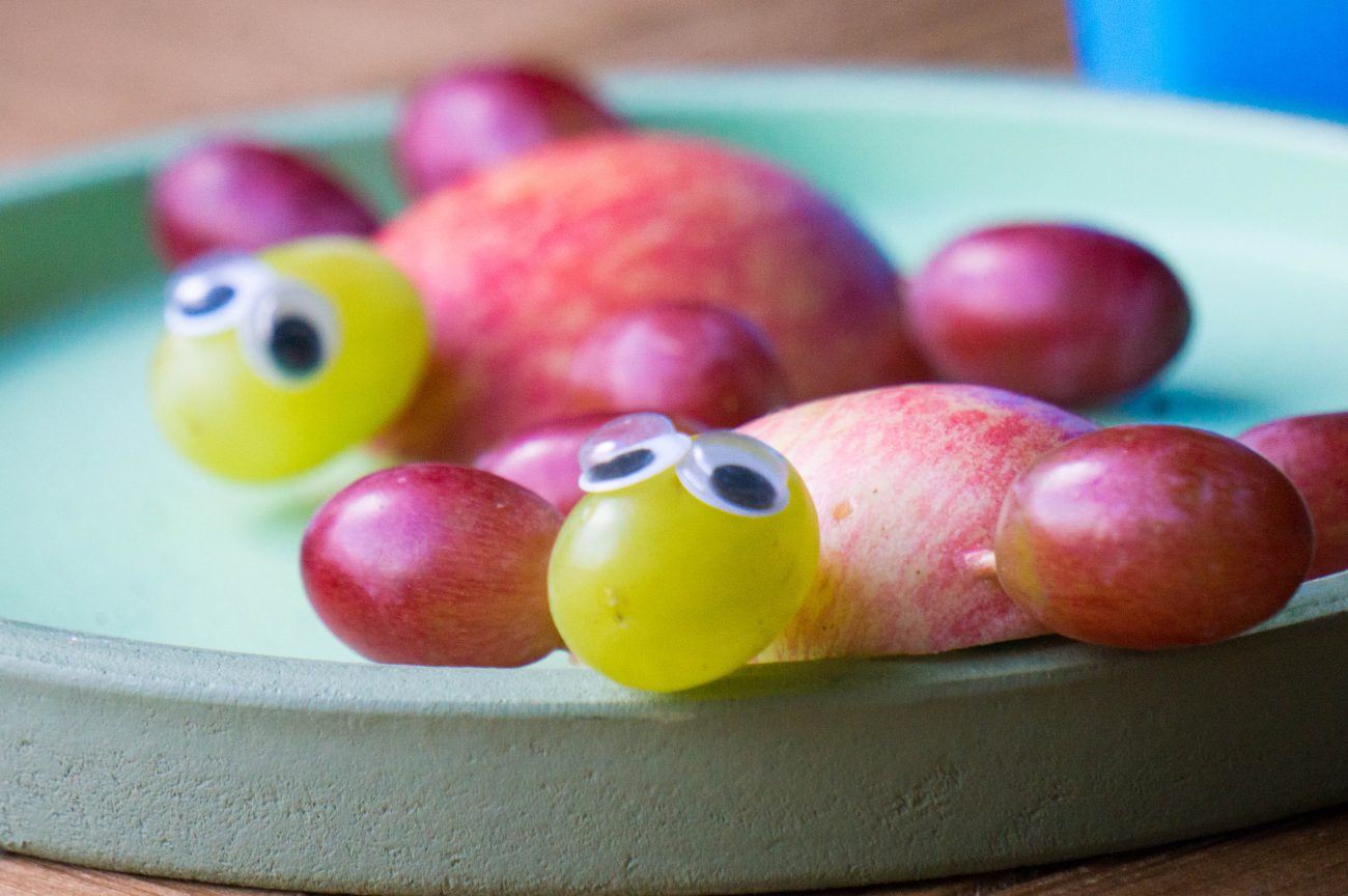 Fruit schildpadden