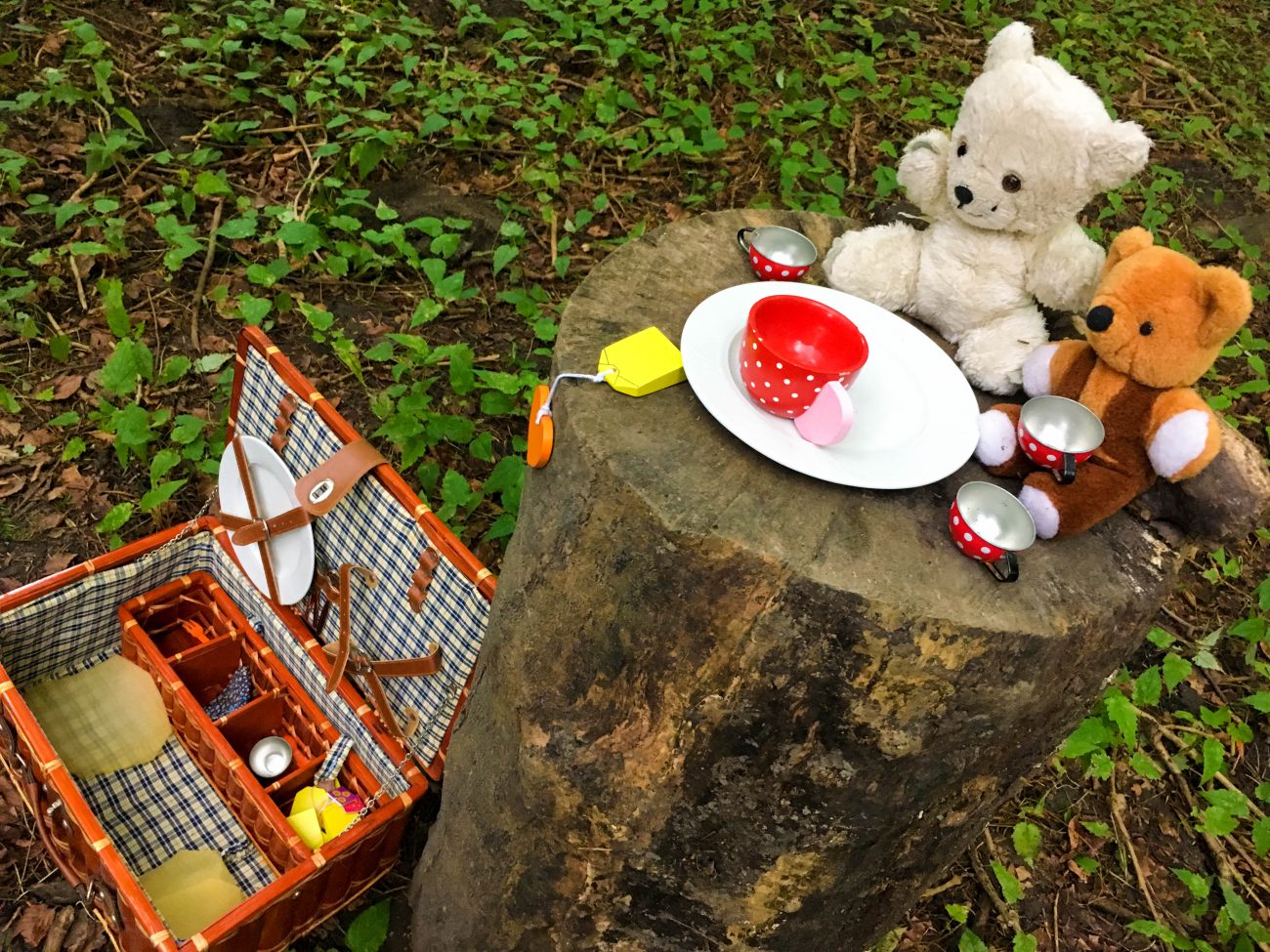 Teddy Bears Picnic Amsterdamse Bostheater (Babies Kitchen)