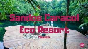 Sandos Caracol Eco Resort - Mexico (Babies Kitchen Reizen)