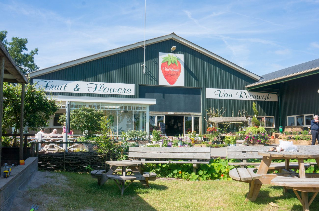 Fruit plukken bij Van Reeuwijk - Babies Kitchen