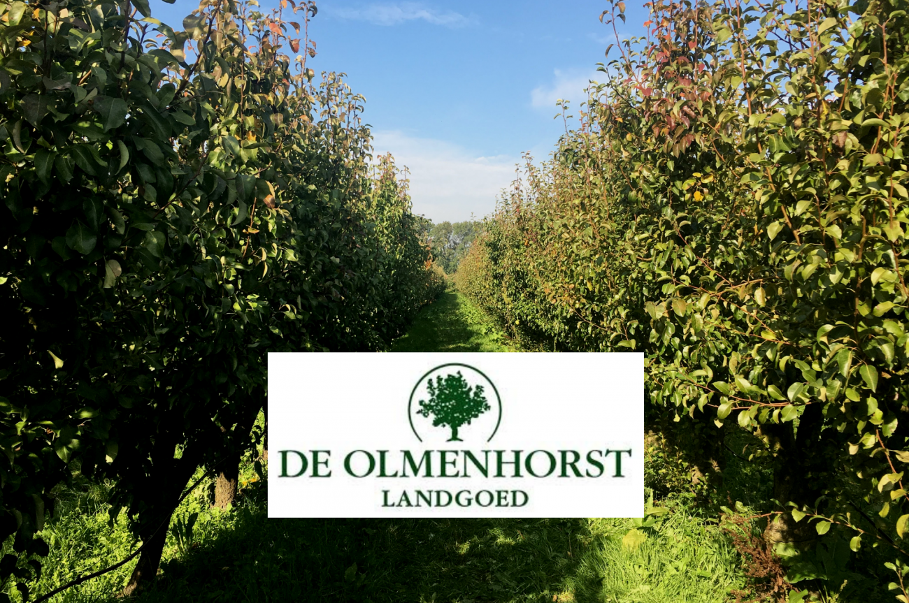 Appels & Peren Plukken bij de Olmenhorst | Babies Kitchen