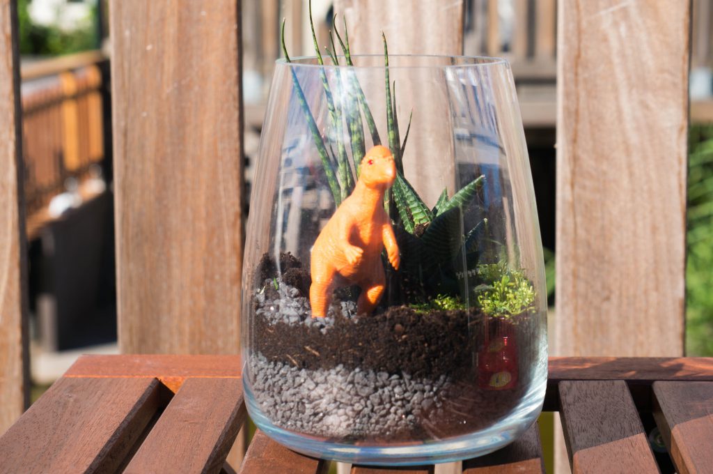 diy dinosaurus terrarium | Babies Kitchen DIY