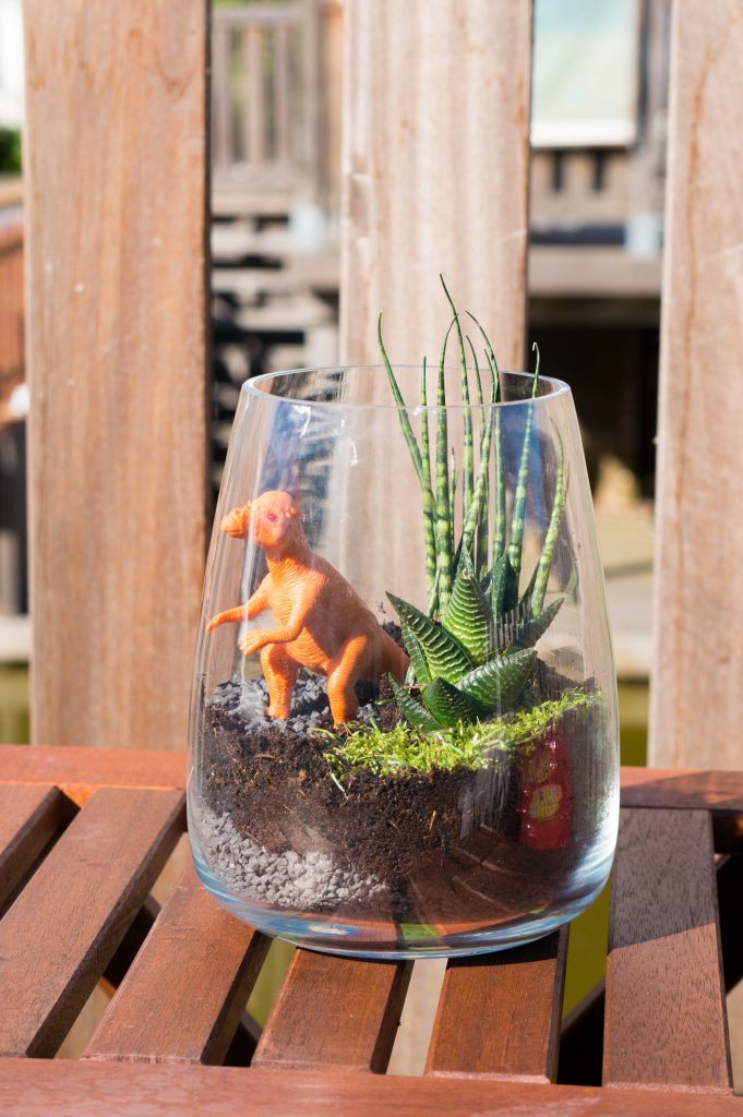 diy dinosaurus terrarium | Babies Kitchen Kinderkamer Decoratie