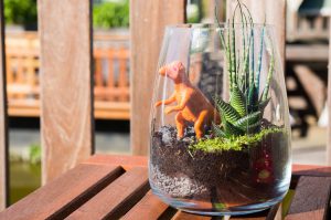 diy dinosaurus terrarium | Babies Kitchen