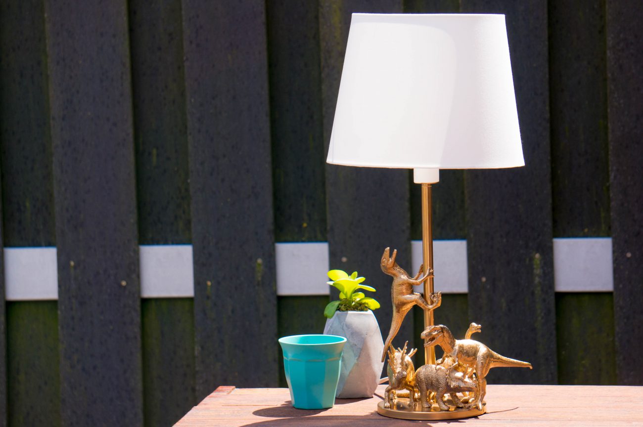 DIY Dinosaurus Lamp | Babies Kitchen