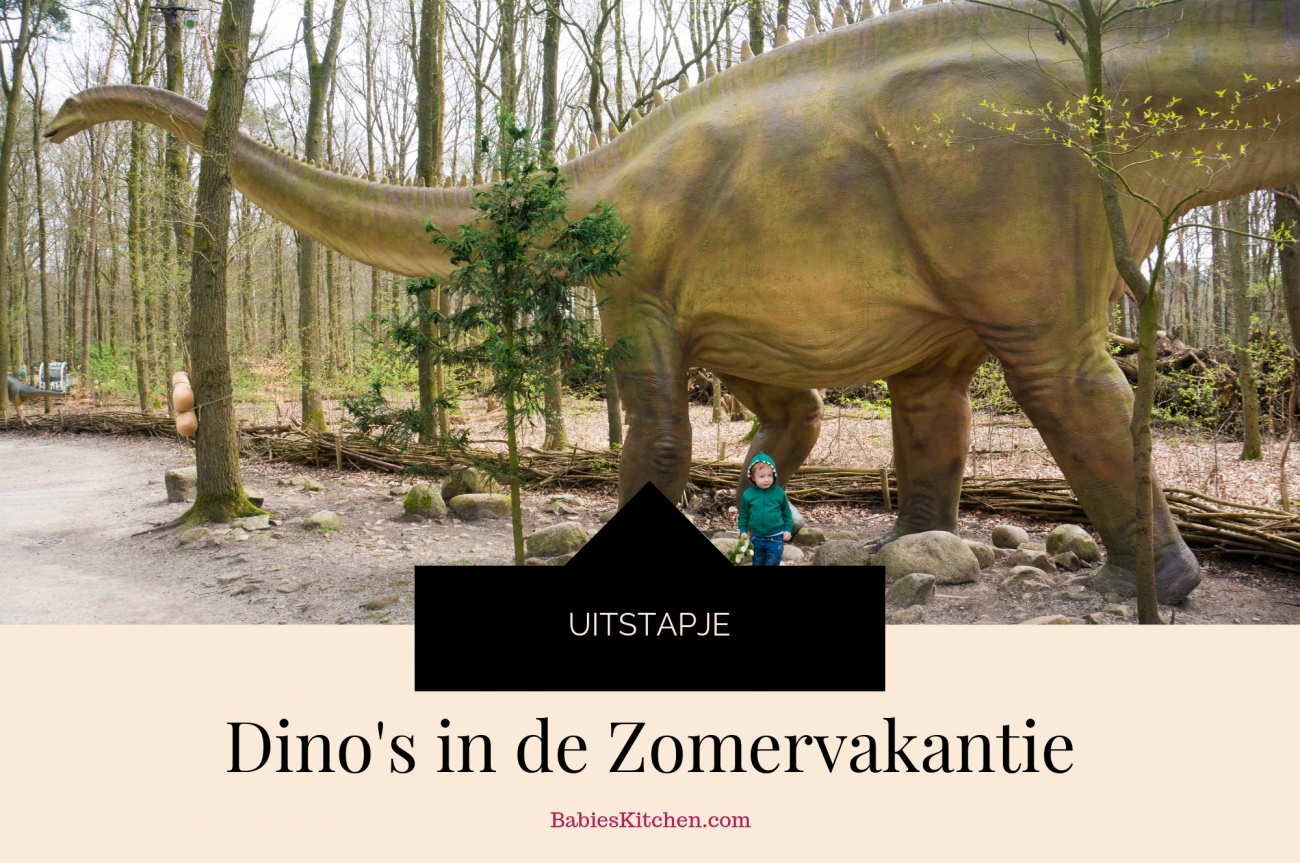 Dino's in de zomervakantie 2018 | Babies Kitchen