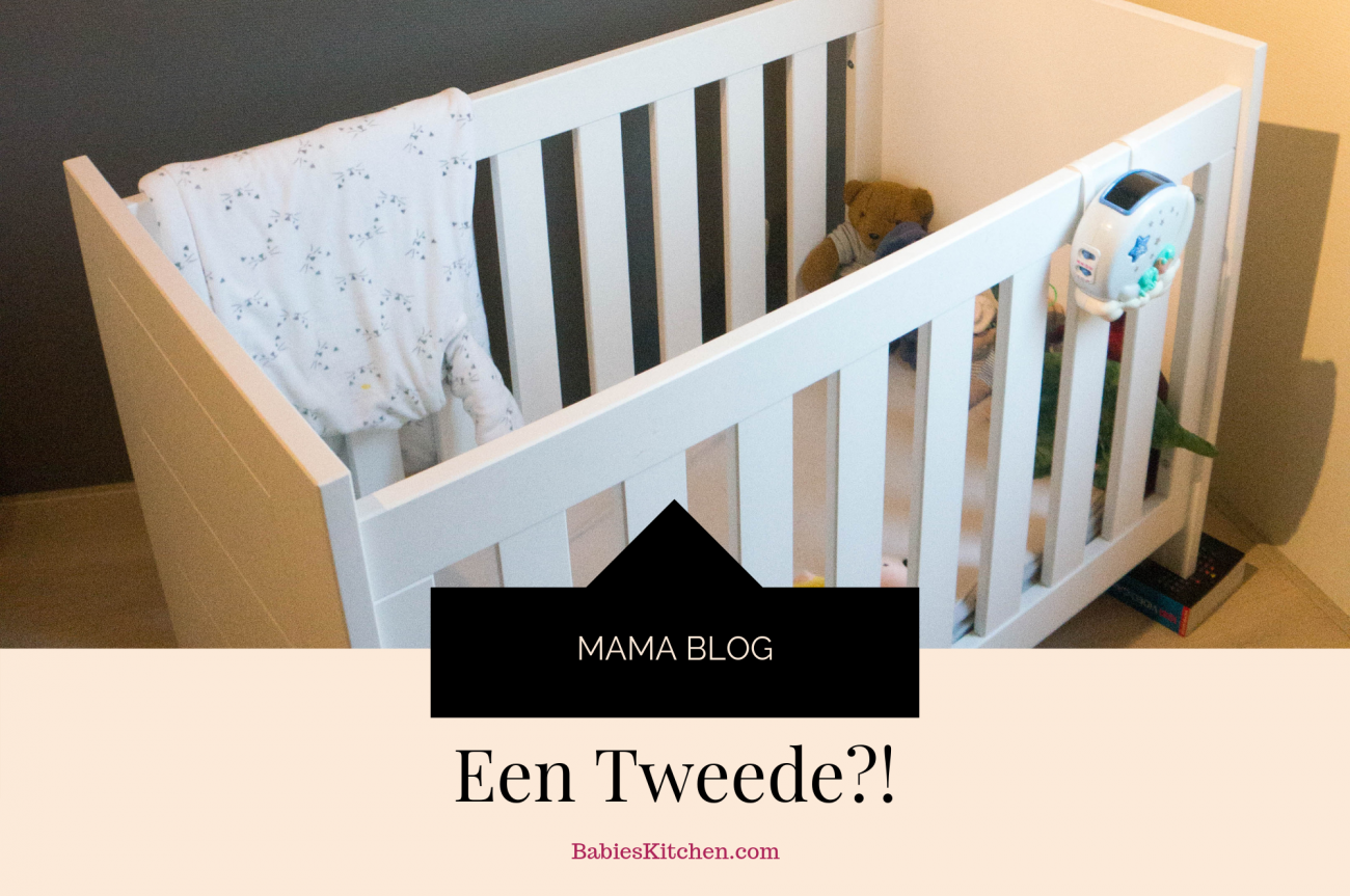 Een Tweede?! | Babies Kitchen