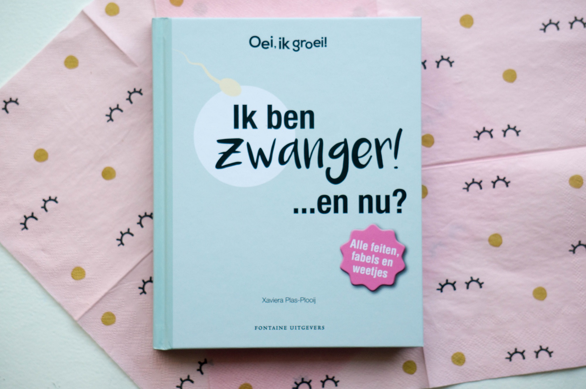 Review: Ik ben zwanger... en nu? (+ winactie) | Babies Kitchen