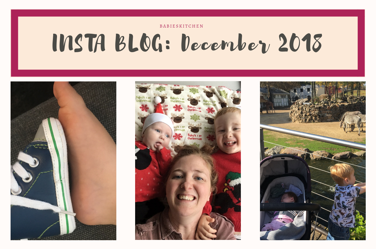 INSTA BLOG December 2018 | Babies Kitchen