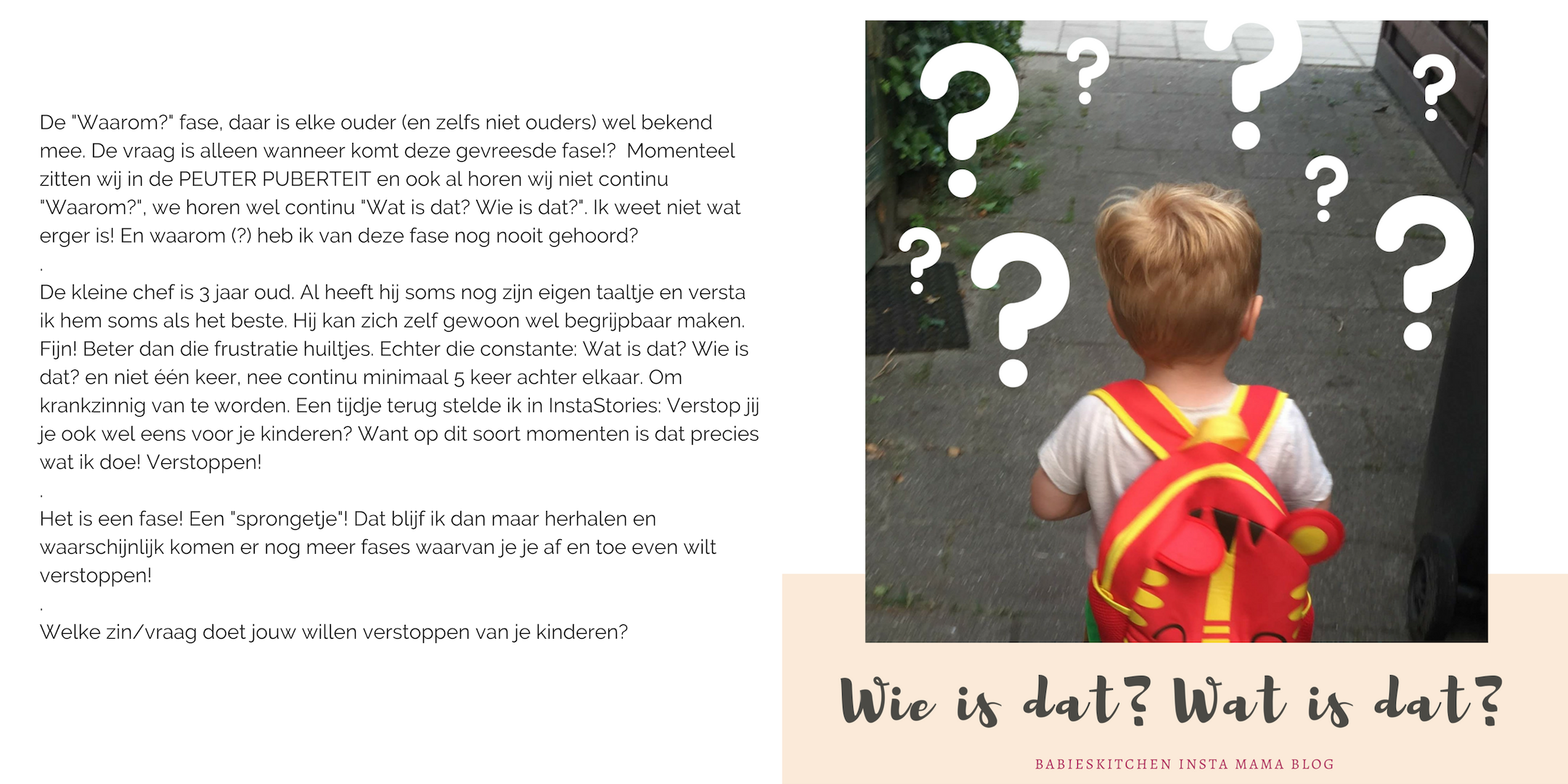 insta blog januari 2019 - wie is dat | Babies Kitchen