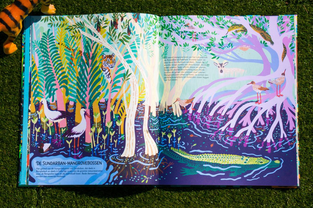 recensie Jungles van Mia Cassany | Babies Kitchen