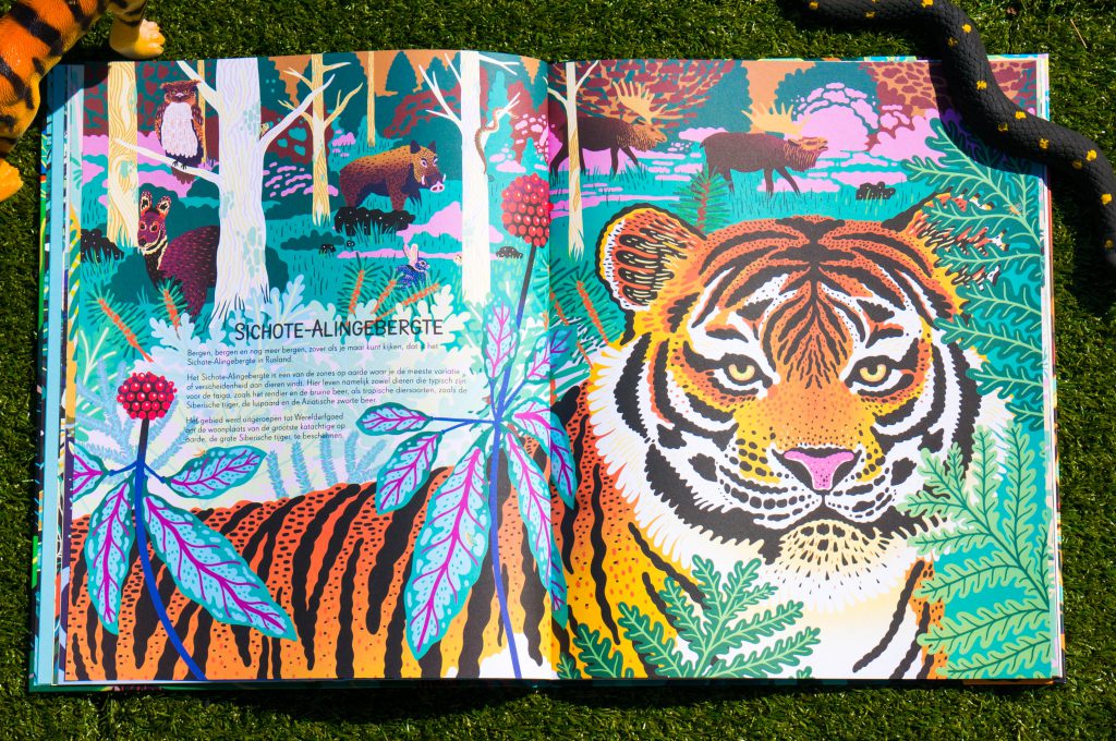 Jungles van Mia Cassany | Babies Kitchen review