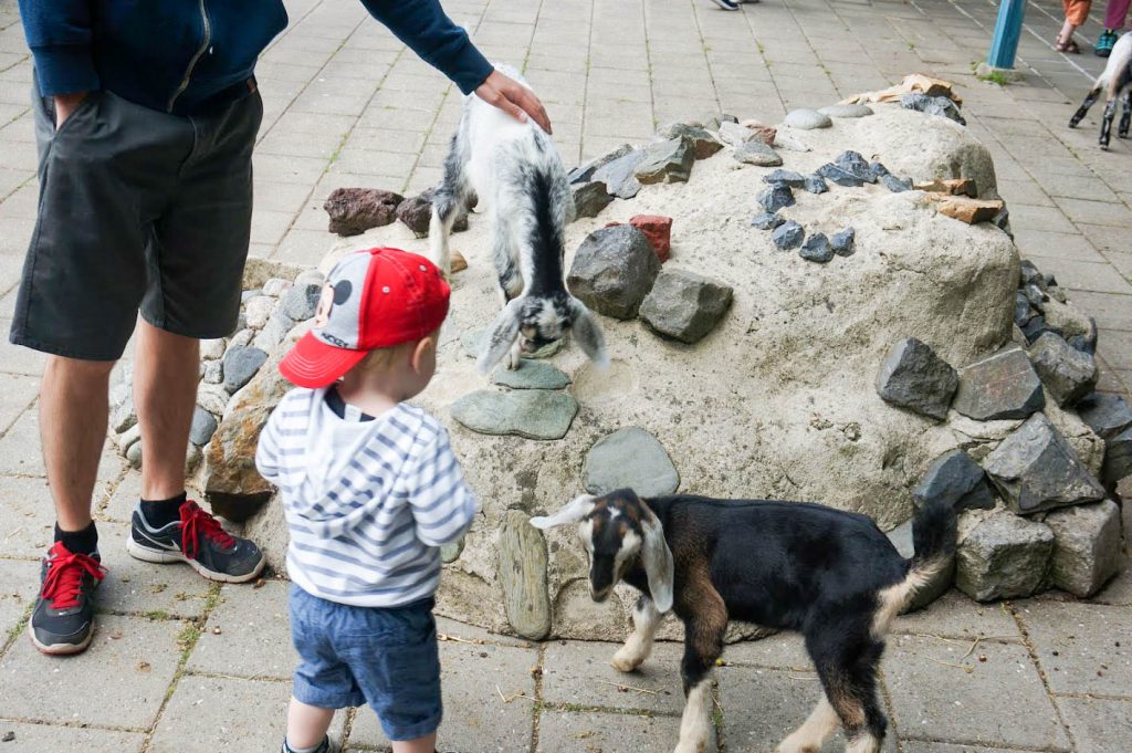 sprookjes wonderland boerderij | Babies Kitchen
