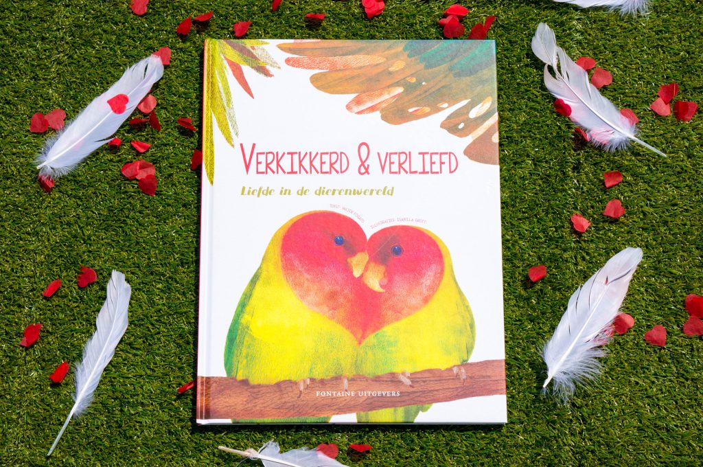 Recensie: Verkikkerd en Verliefd van Isabella Grott | Babies Kitchen