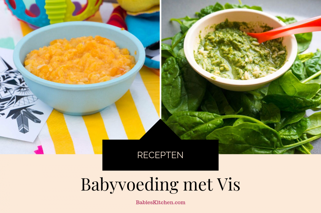 Babyvoeding met Vis _ Babies Kitchen