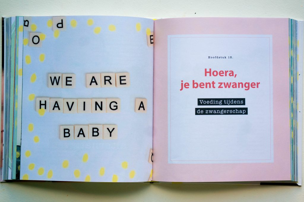 Recensie: De Schijf van Fief | Babies Kitchen