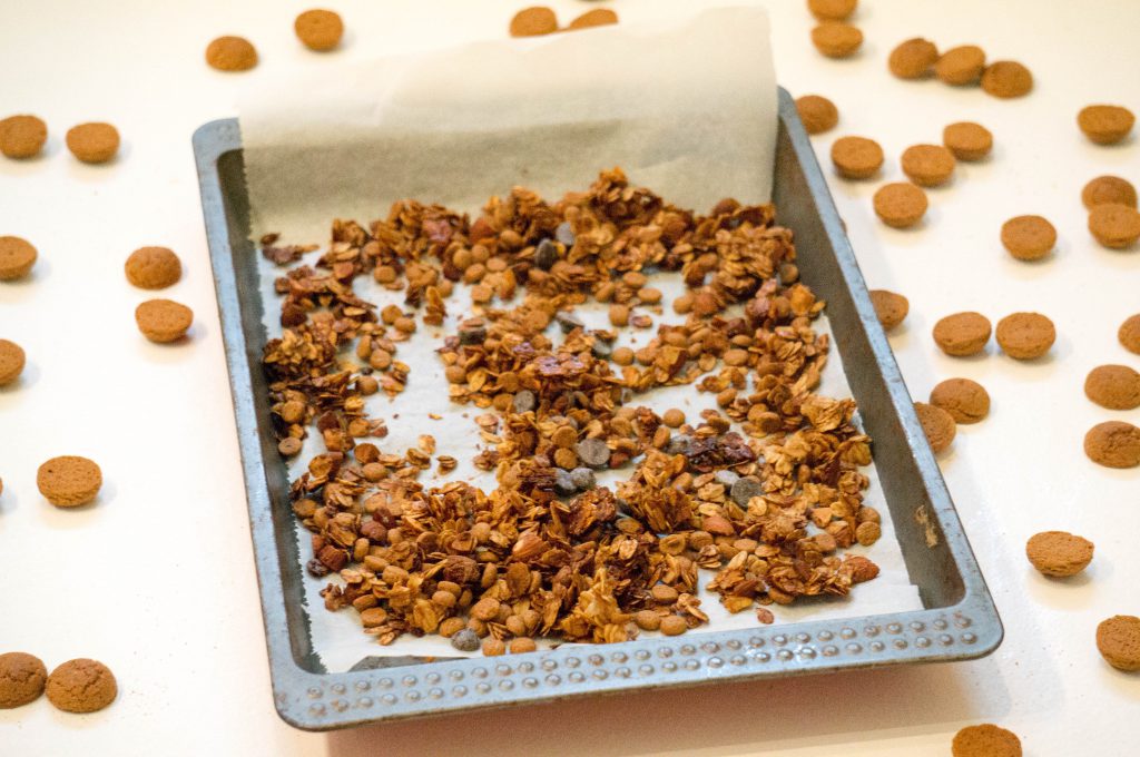 Pepernoten Cruesli recept| Babies Kitchen