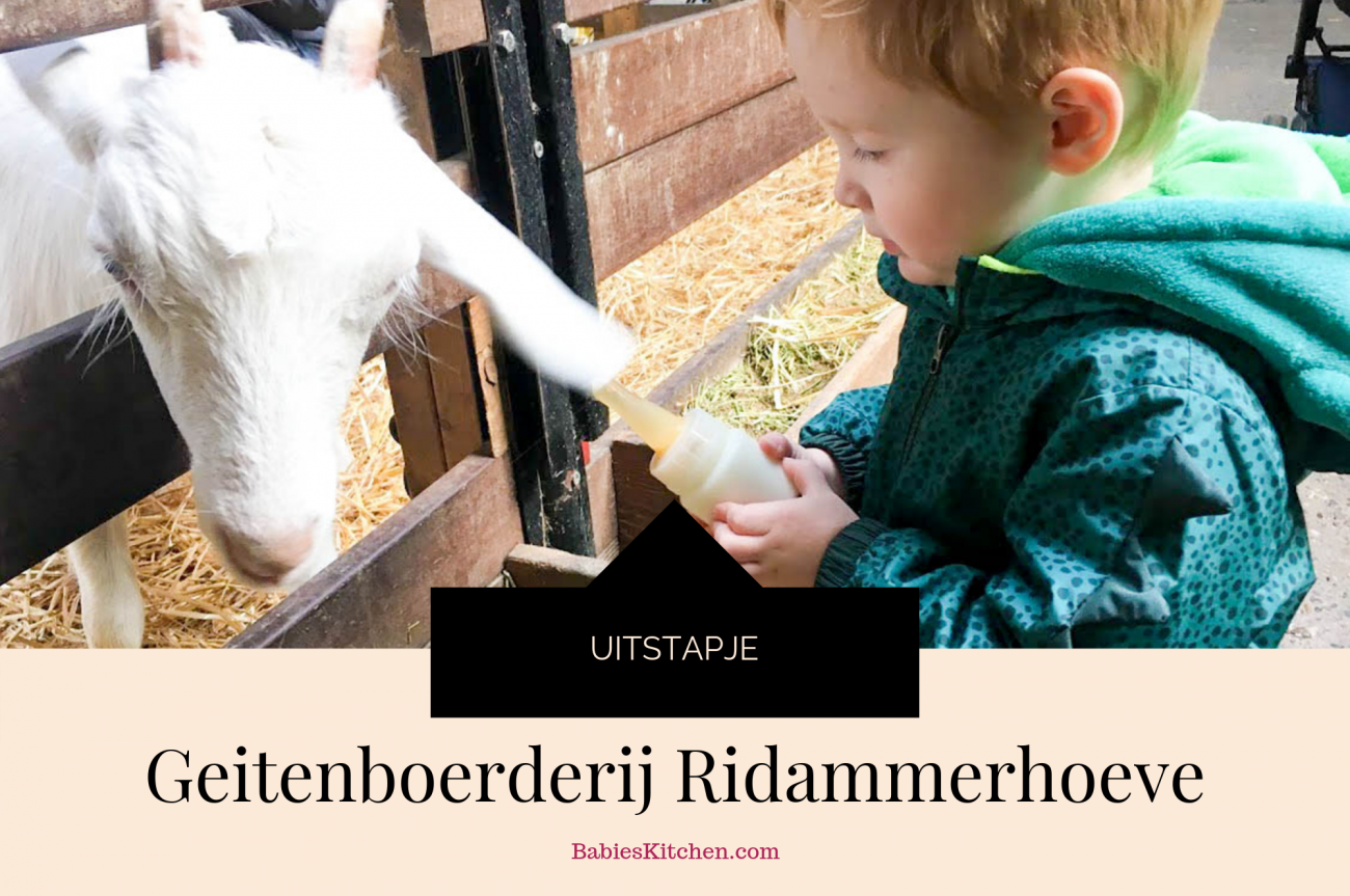 Geitenboerderij Ridammerhoeve | Babies Kitchen