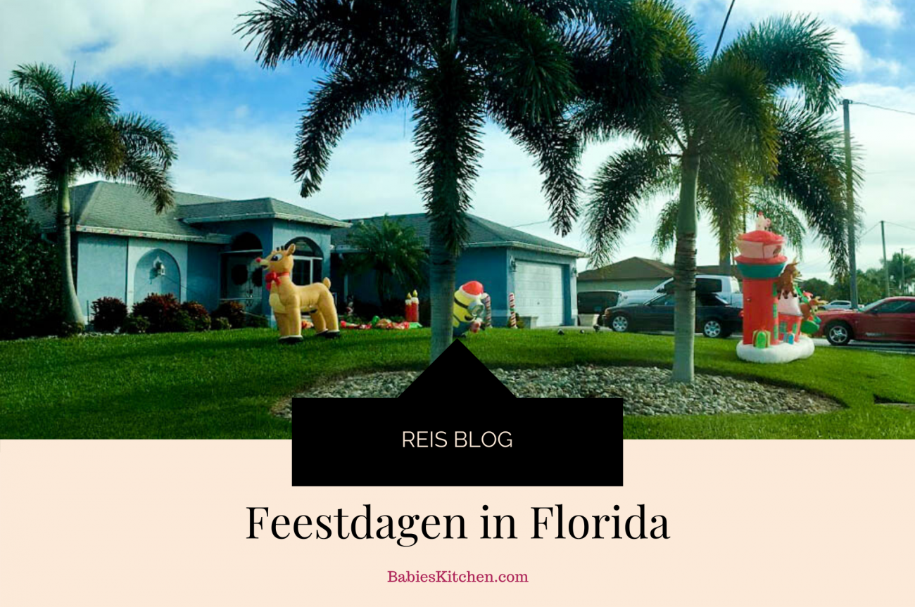 Feestdagen in Florida _ Babies Kitchen