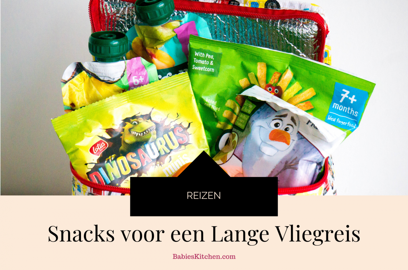 Snacks voor een Lange Vliegreis _ Reizen met Kinderen| Babies Kitchen