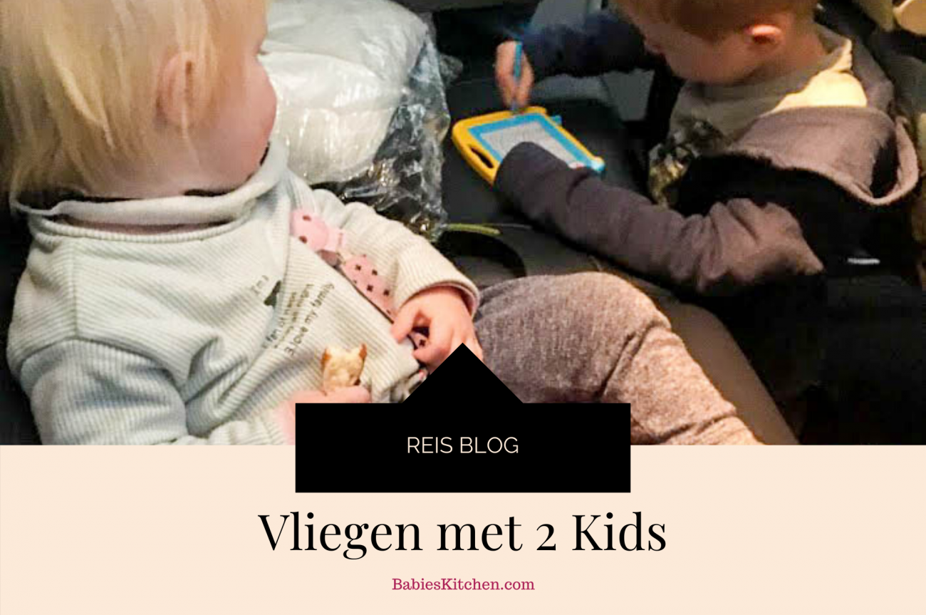 Vliegen met twee kinderen_ Babies Kitchen