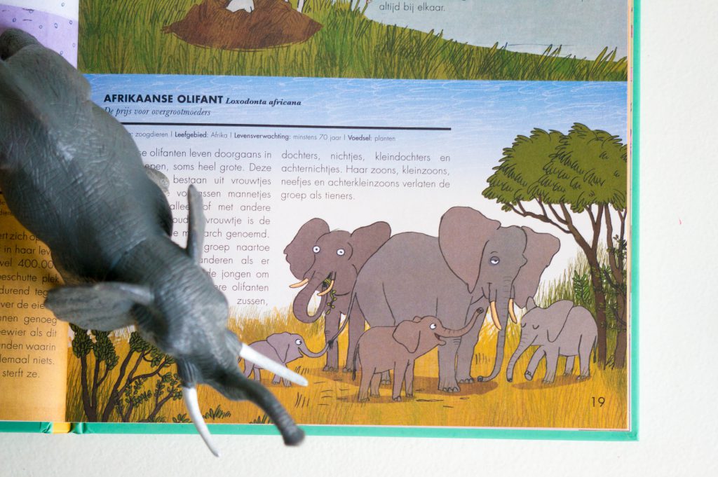 Recensie 50 Dieren met een Wereldrecord | Babies Kitchen