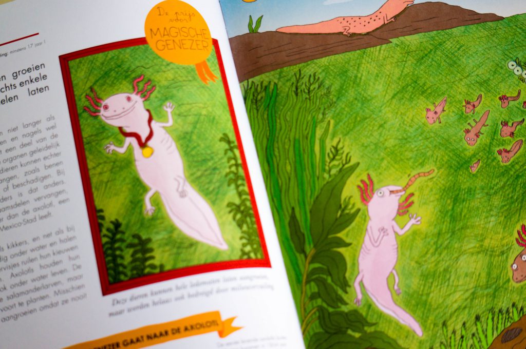 Recensie 50 Dieren met een Wereldrecord kinderboek| Babies Kitchen