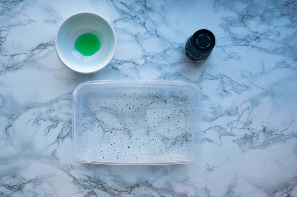 Stap 1 Bacteriën Begrijpen voor Kinderen | Babies Kitchen