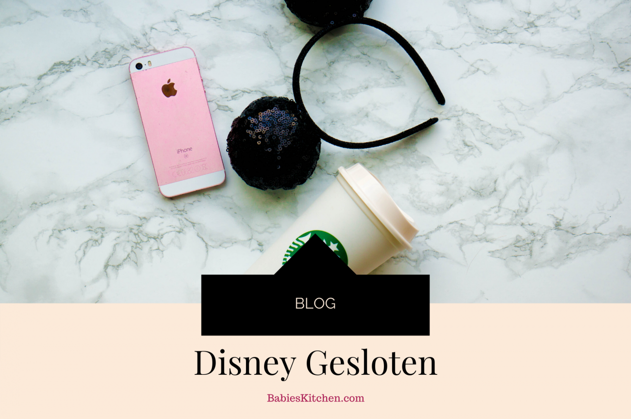 Disney is Gesloten _ Blog _ Babies Kitchen