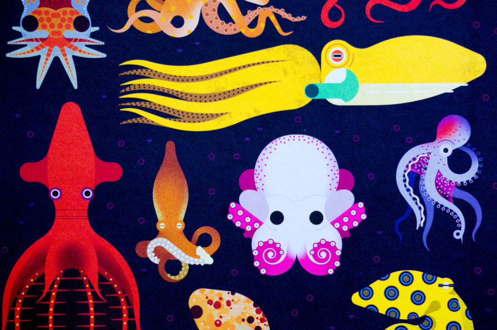 kinderboek Ongelofelijke Octopussen [Kidshoekje.nl]