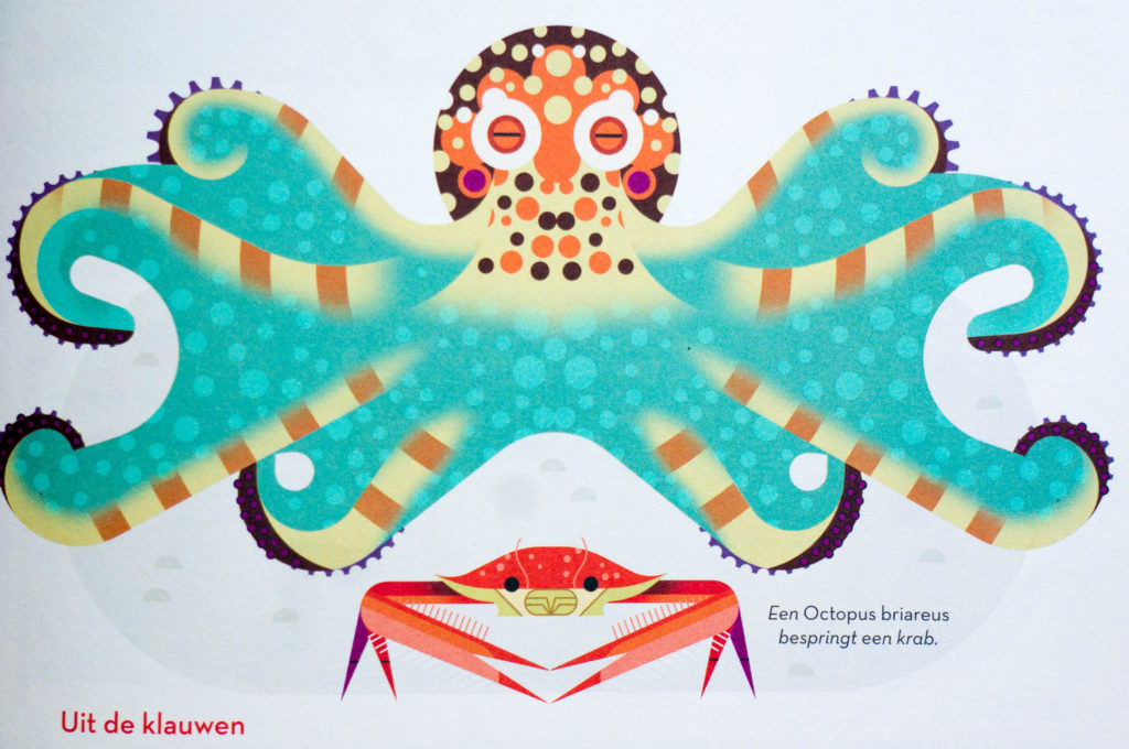 Ongelofelijke Octopussen [Kidshoekje.nl]