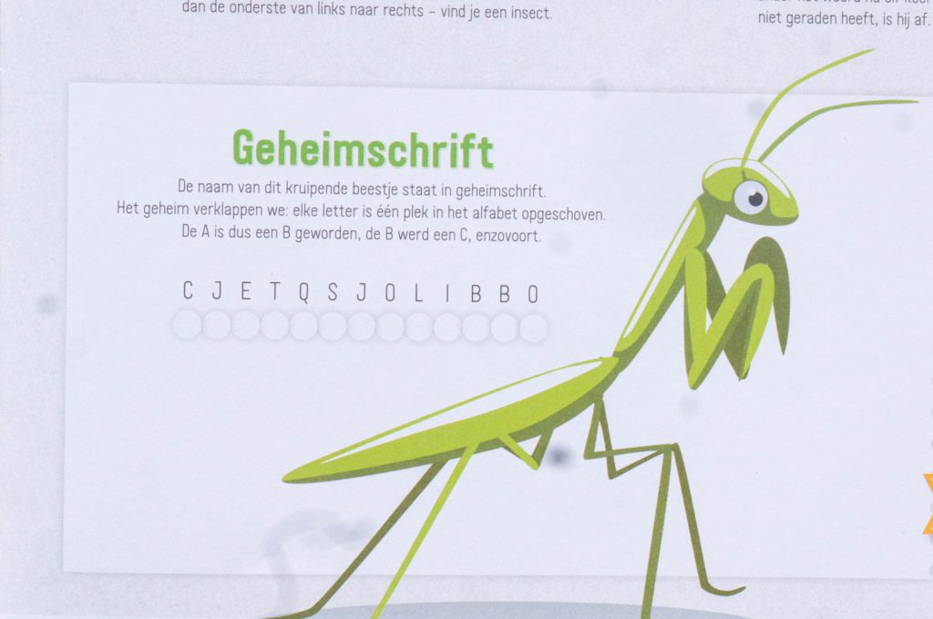 Doe Boek Insecten en ander klein spul - Kidshoekje