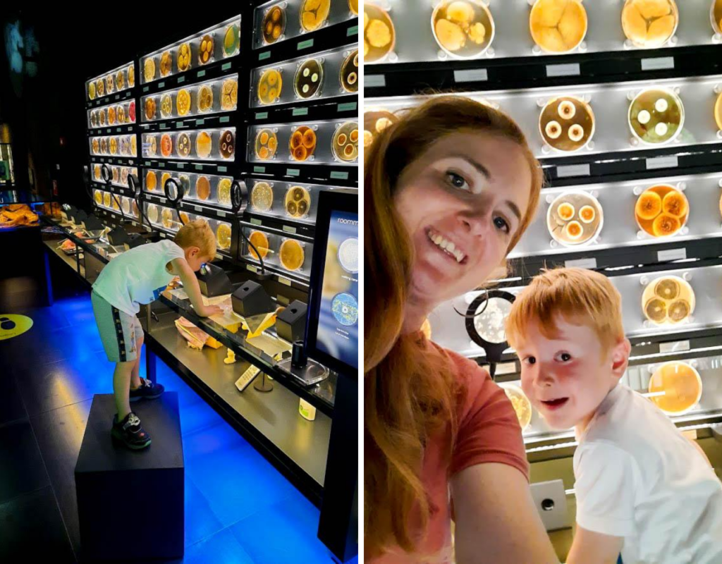 Kidshoekje.nl bij ARTIS - Micropia _ Kidshoekje.nl
