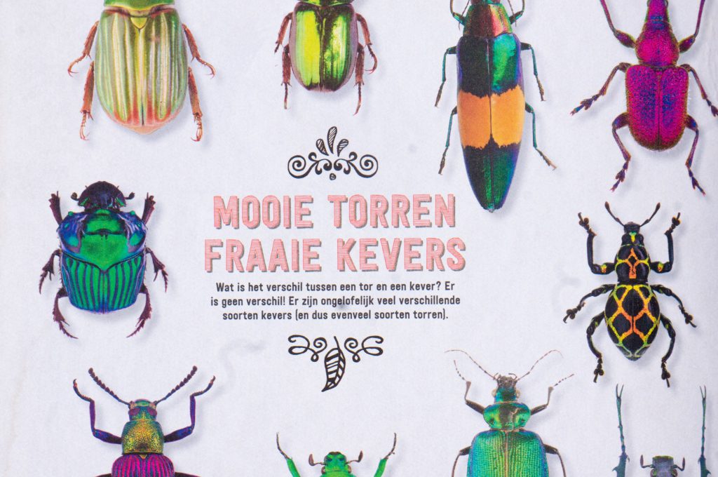 Kinderboek Doe-Boek Insecten - Kidshoekje