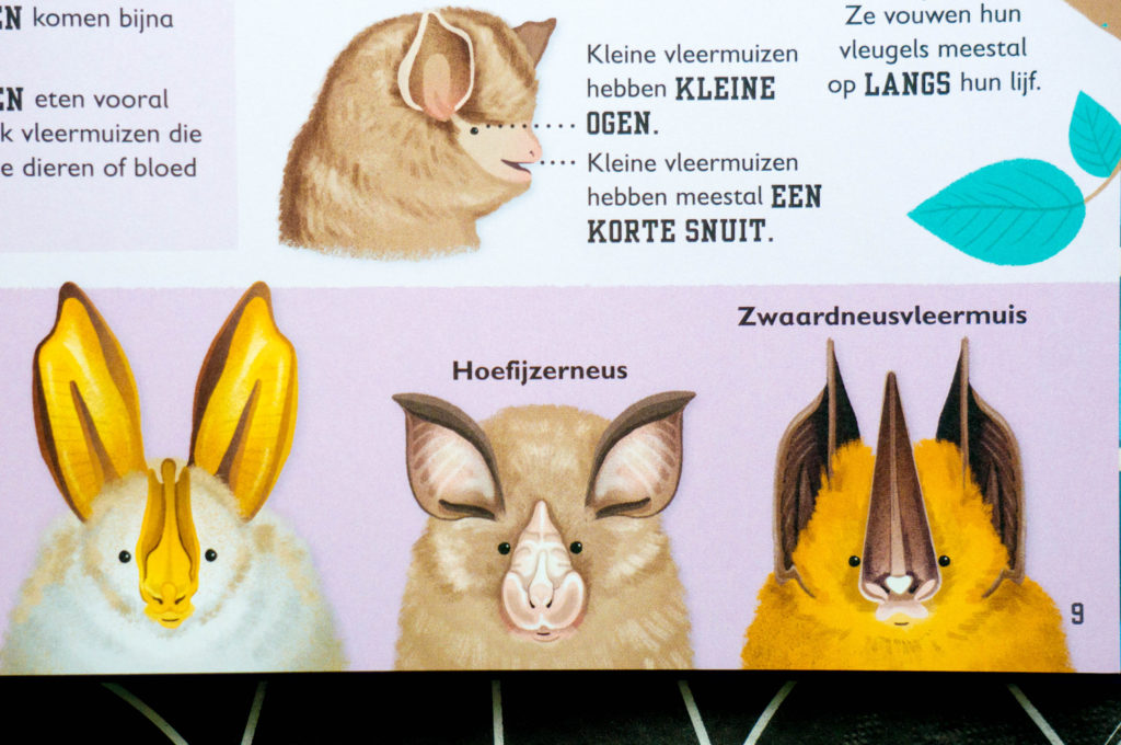 Recensie Het Vleermuizenboek [kidshoekje.nl]