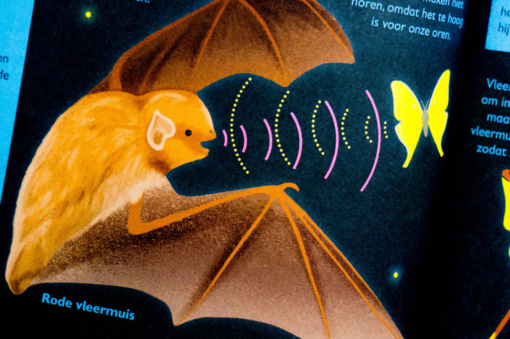 Kinderboek Recensie Het Vleermuizenboek [kidshoekje.nl]