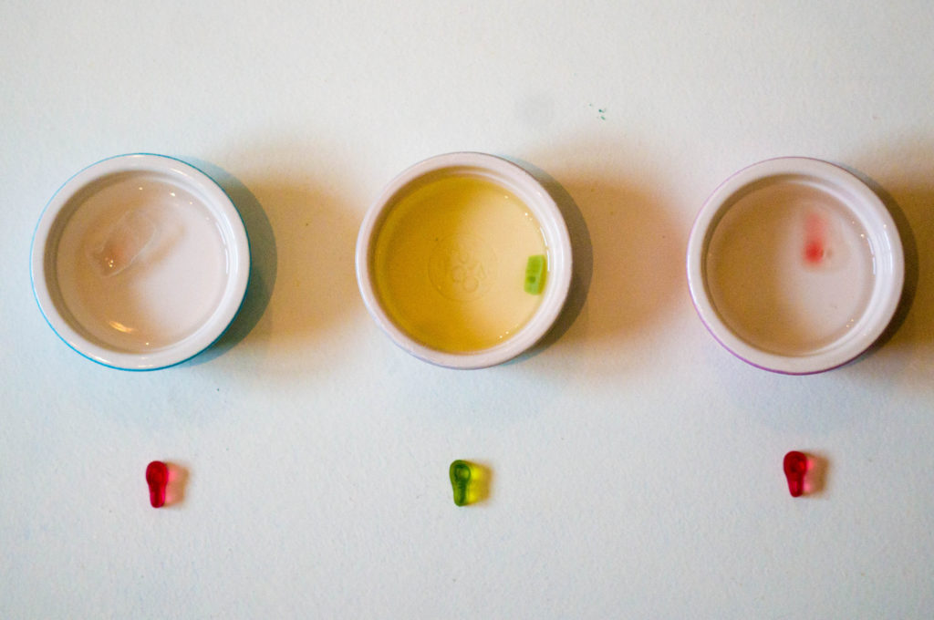 Gummiberen Experiment Testjes_ Kidshoekje