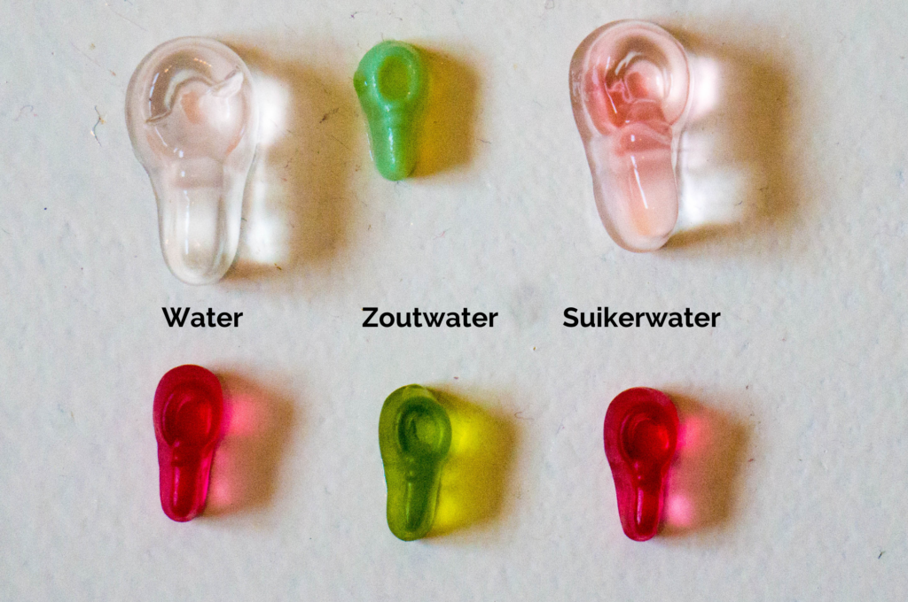 Gummiberen Experiment voor Kinderen_ Kidshoekje