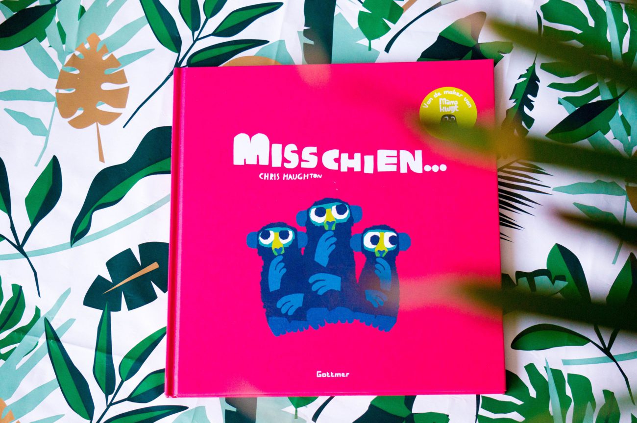 Kinderboek Chris Haughton Misschien... Recensie