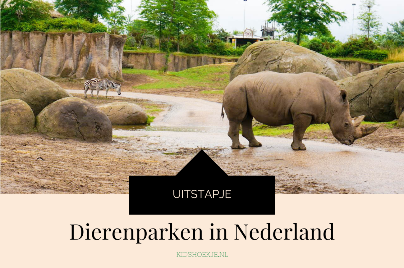 Dierenparken in Nederland Uitstapje Kidshoekje