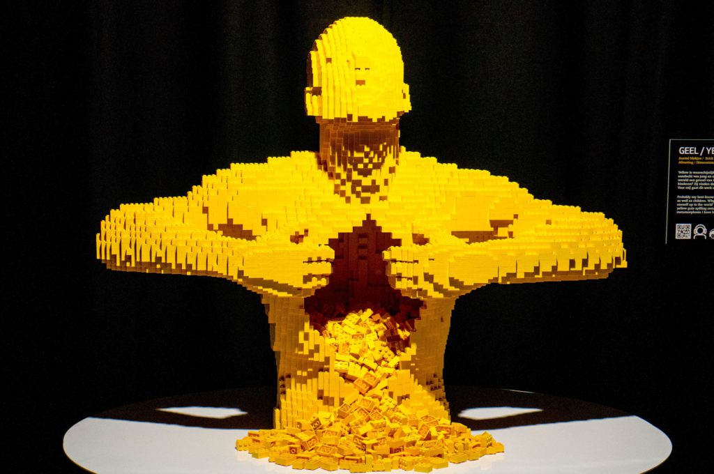 The Art of The Brick - Kidshoekje.nl