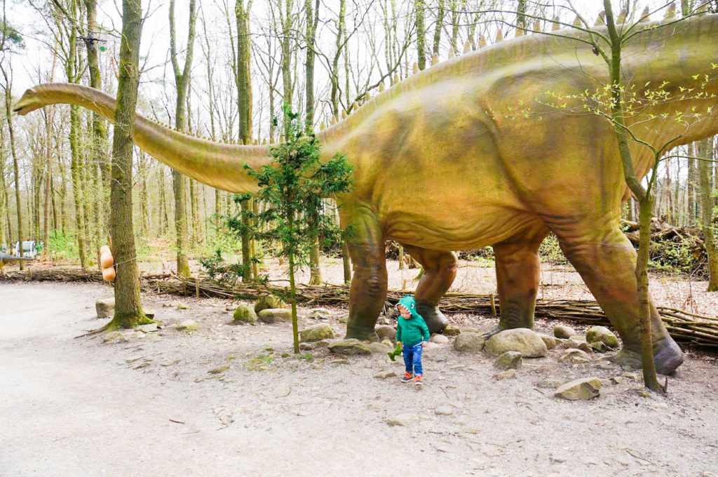 Dierenpark Amersfoort _ Kidshoekje.nl