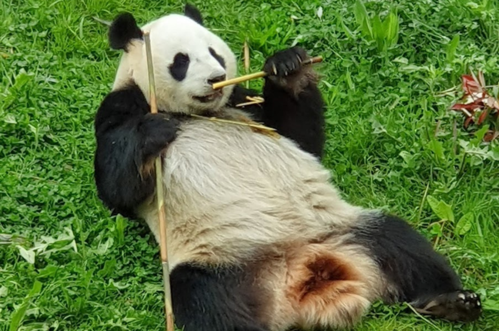 Ouwehands Dierenpark Uitstapje Kidshoekje