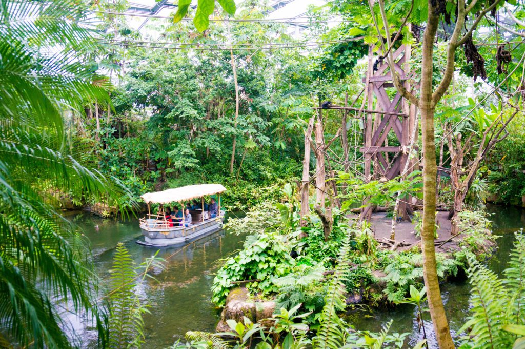 Wildlands Dierenpark Uitstapje _ Kidshoekje