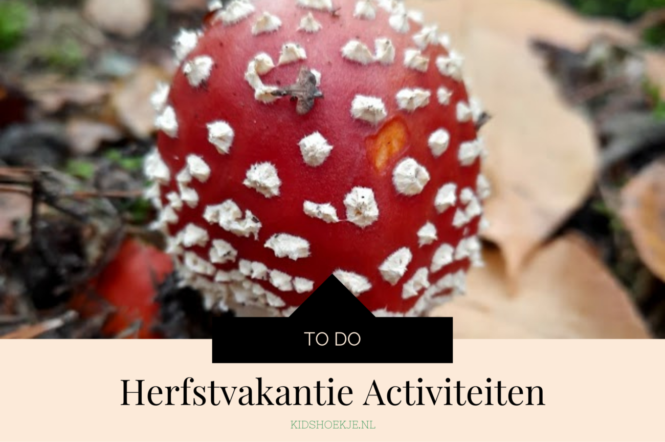Tips voor de Herfstvakantie - Kidshoekje.nl