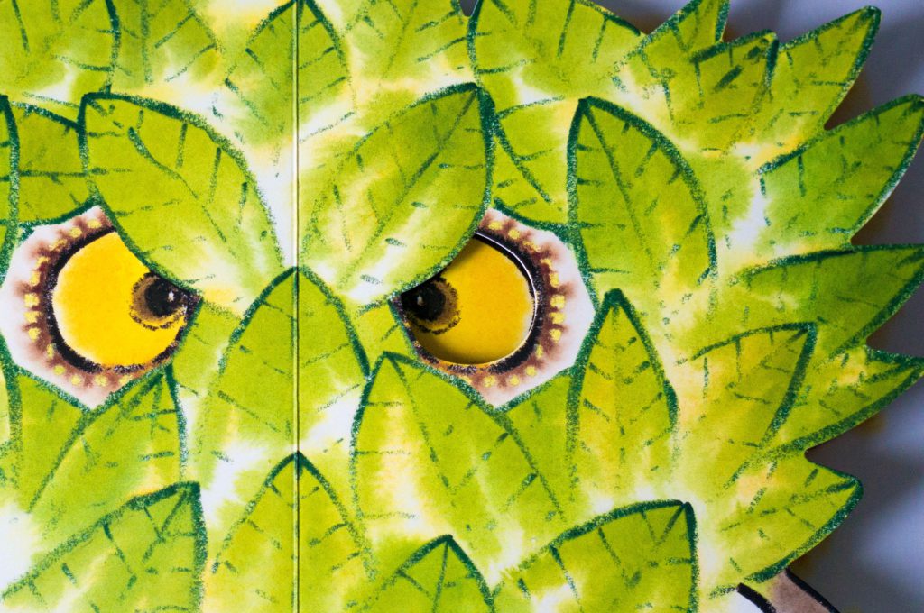 Kinderboek Camouflage Giuliano Ferri - Kidshoekje.nl