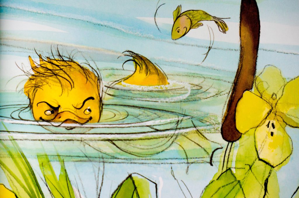 Kinderboek Ik ben een krokodil - Kidshoekje.nl
